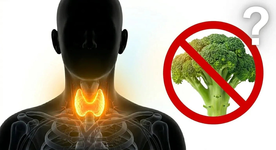 Crucíferas e hipotiroidismo: mito o evidencia - Supersentials
