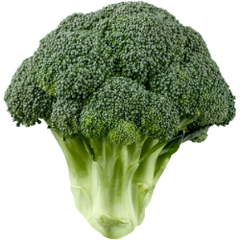 Verduras