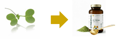 Des micro-pousses fraîches aux micro-pousses lyophilisées